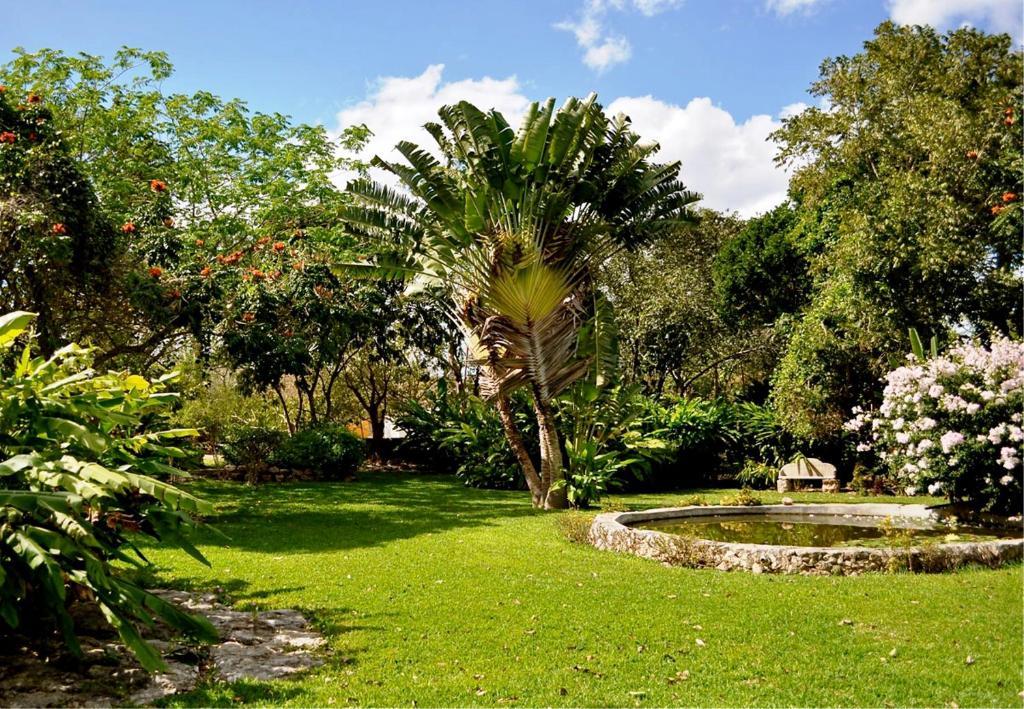 Hotel Hacienda San Francisco Tzacalha Dzidzantún Esterno foto